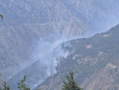 Fire broke out in the forest of Purvni village, hundreds of apple and other fruit plants destroyed