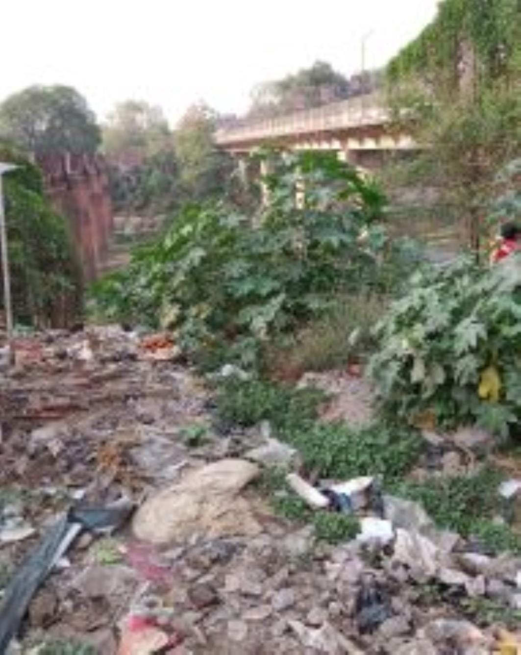 Tender process started for two-lane bridge over Gomati river, first installment released