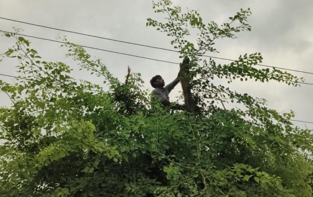 Cuts started in the name of repairs, power outage for six hours