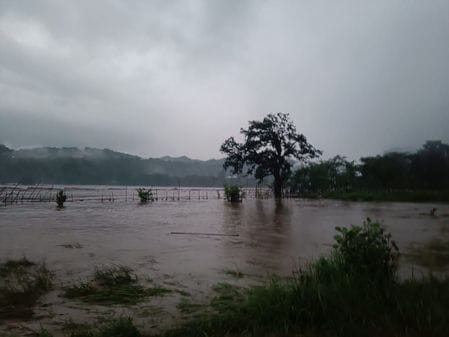 Flood in Beas destroyed crops in Dol, Gadiyara, Kothi