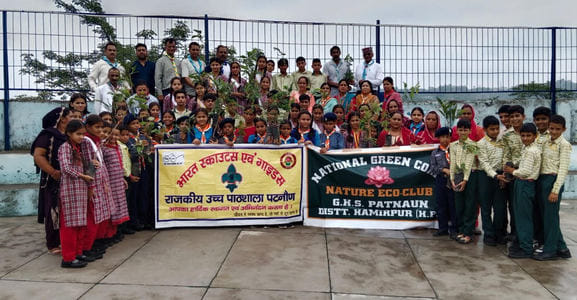 Planted myrobalan, amla and guava plants