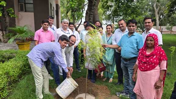 As many trees should be planted as possible