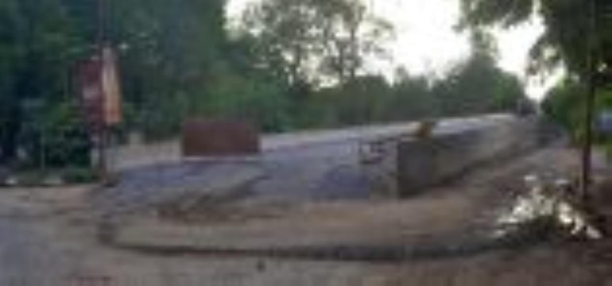 Trees became an obstacle in the construction of ramp of Jaipuria bridge