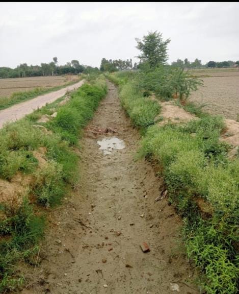 Rice plantation is getting delayed due to lack of water in canals