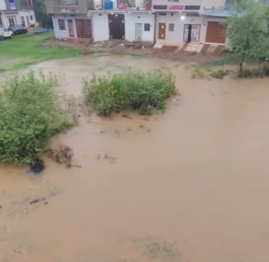 शिवपुरी की कॉलोनी में भरा पानी।