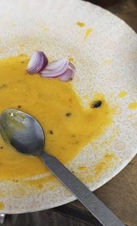 Quality Dhaba became a den of carelessness, flies and ants were found in the food