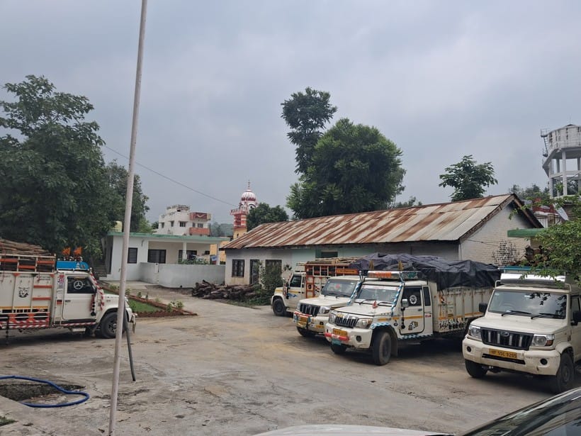 Five vehicles laden with banned wood seized