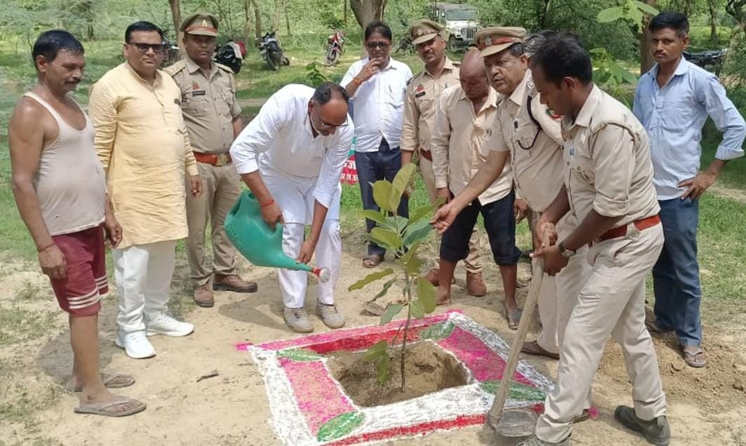 Plants planted in Bhausinghpur village