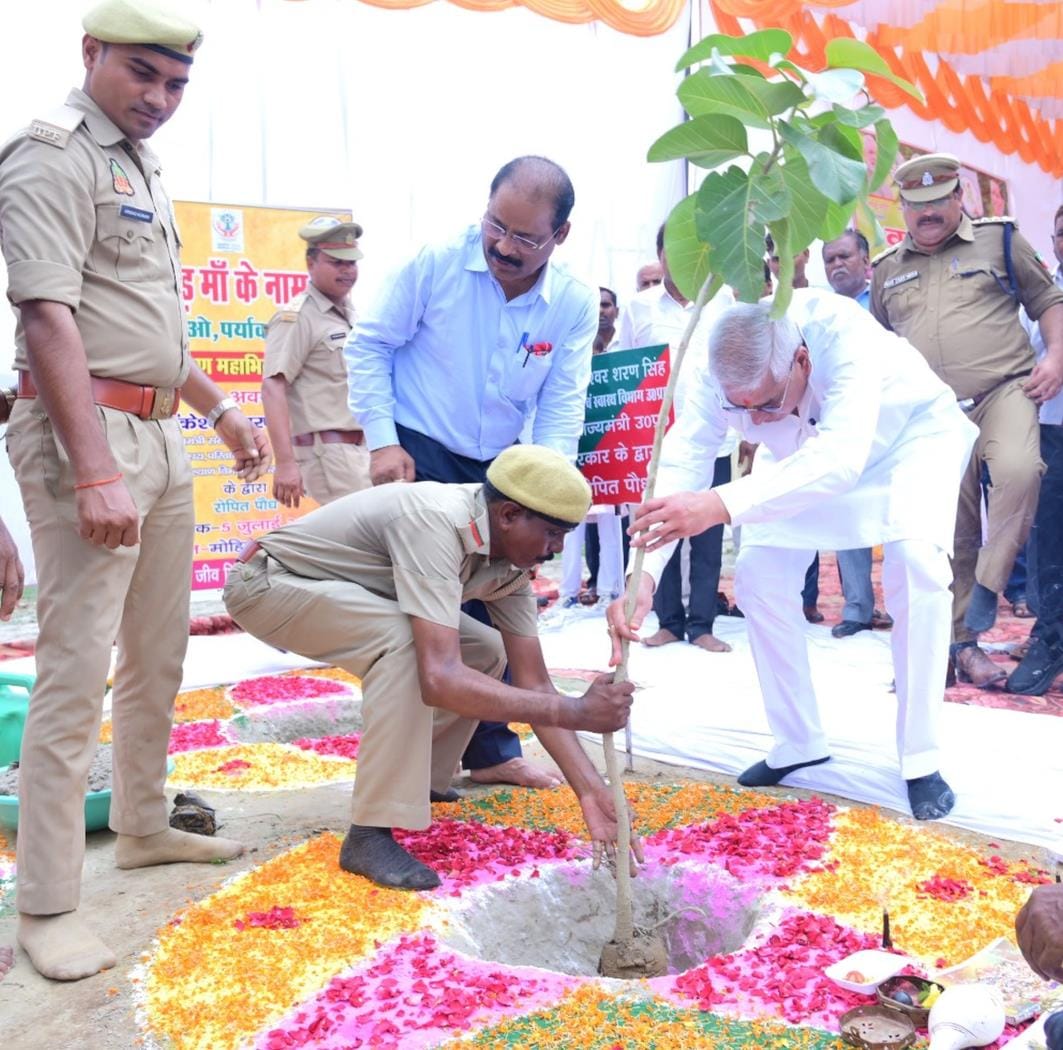 Raise a plant like a child: State Minister