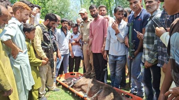 jammu kashmir news