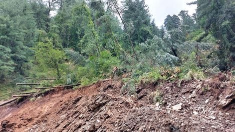 There is huge loss of forest wealth as well, assessment will be done using drones