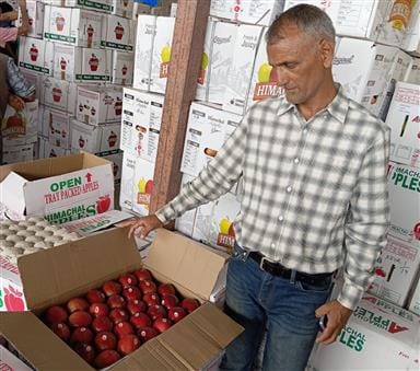 Dark Baron Gala apple gets record price, sold at Rs 230 per kg