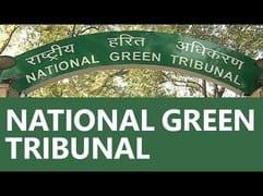 Coal mining permitted in Singrauli-Sidhi 'Elephant Corridor'! NGT issues notice to Centre, State and Adani Gro