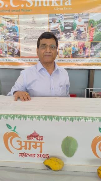 Ambika mango brought respect to Abdul Salim of Malihabad