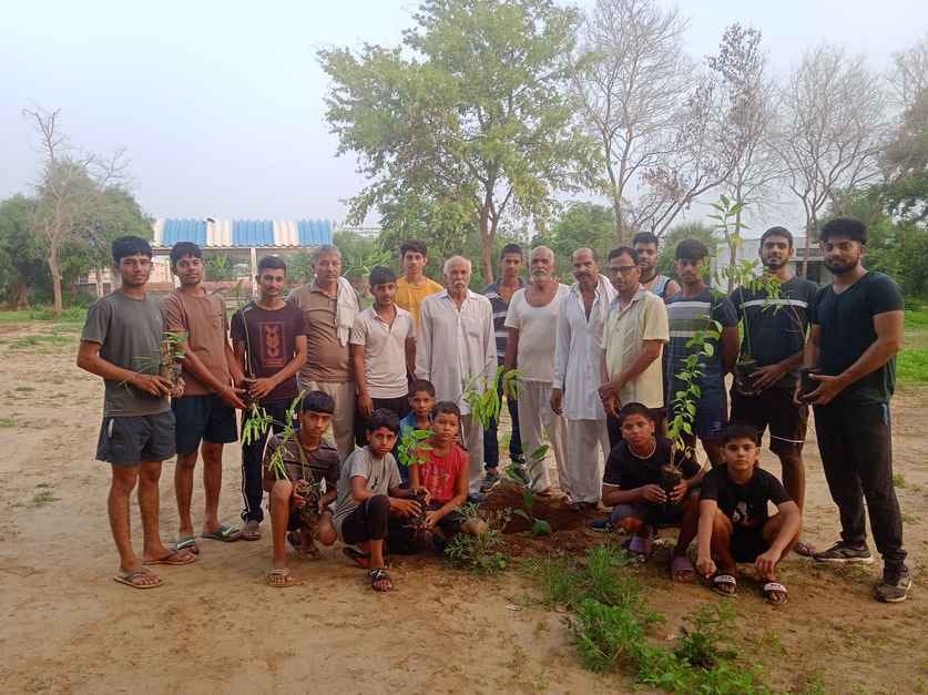 Tree plantation campaign launched