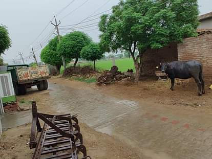 Drizzle brought relief from humidity and heat, farmers are still waiting for heavy rain