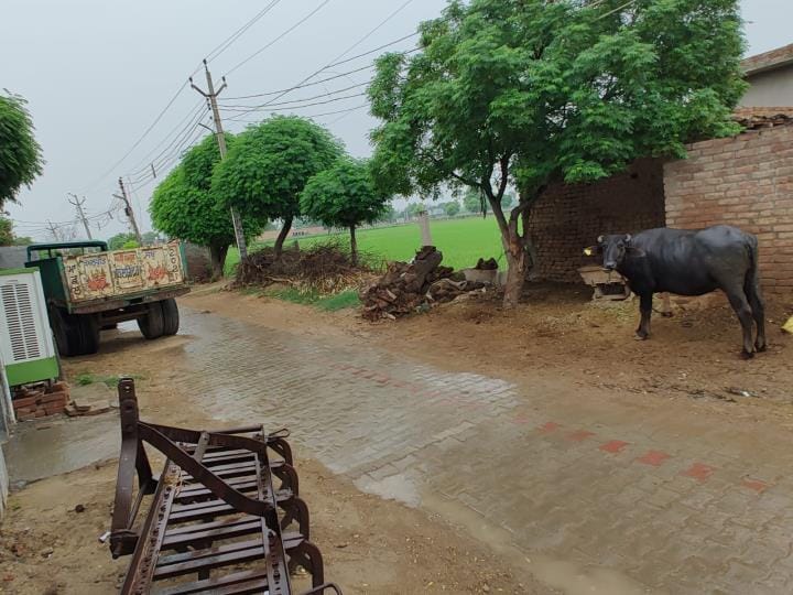 Drizzle brought relief from humidity and heat, farmers are still waiting for heavy rain