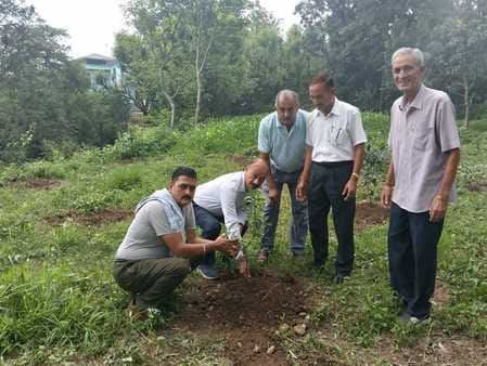 Planting trees on vacant land is necessary for environmental balance: Dhiman