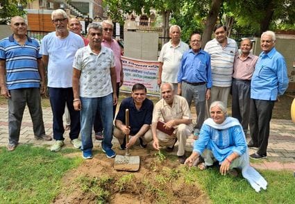 Planting trees in a public park