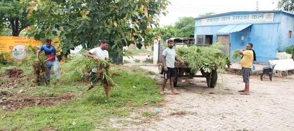 Cleanliness drive conducted in Niwaj Nagar, Surjanwas, Napla