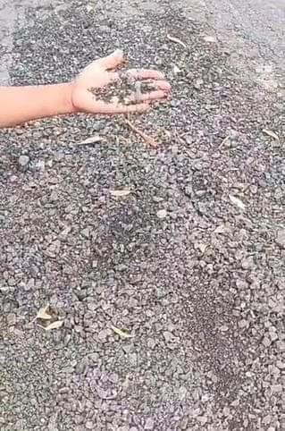 Gravel started disintegrating on Shekhpura-Purkhas road under construction