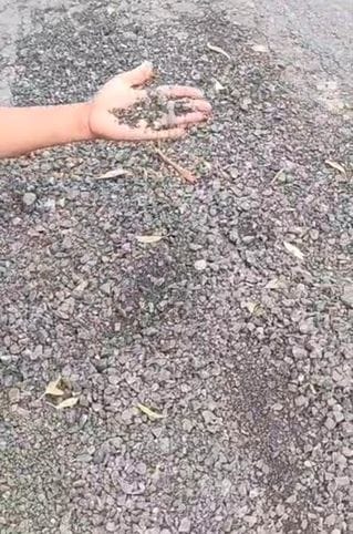 Gravel started disintegrating on Shekhpura-Purkhas road under construction