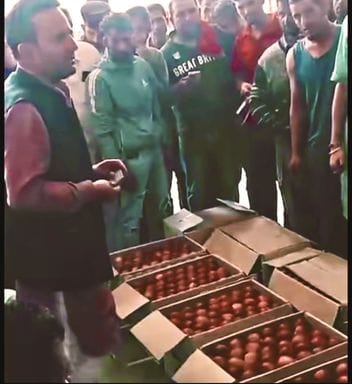 Royal apple made a grand entry in Parala Mandi, sold up to Rs 180 per kg