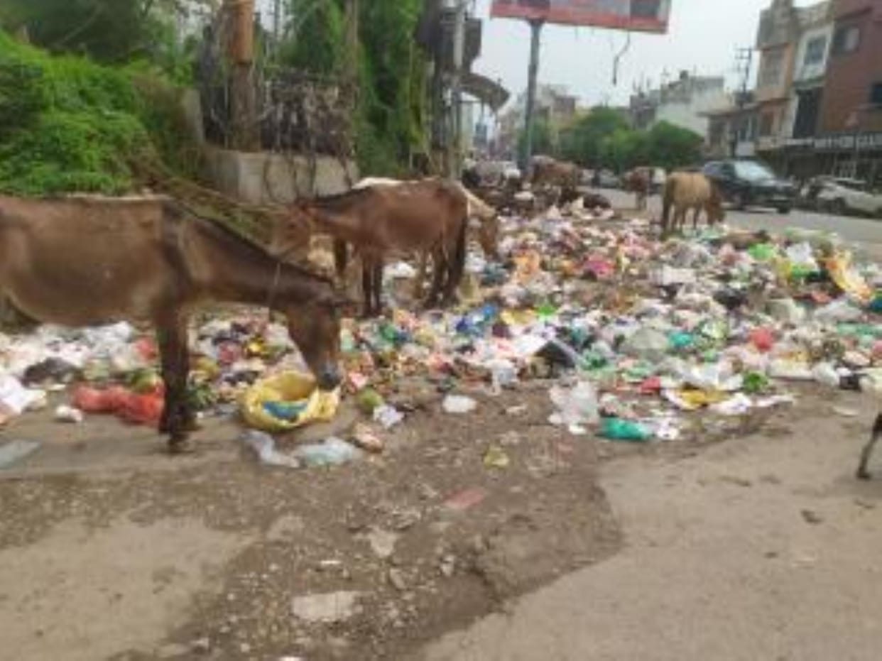 Udhampur, Garbage in city, Cleaning workers on Strike