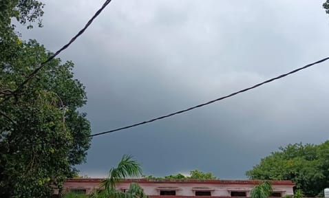 Weather Update: The temperature is low, but the heat is coming out in the humid heat