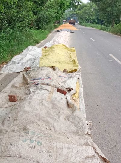 Villagers drying corn on half the road, fear of accident