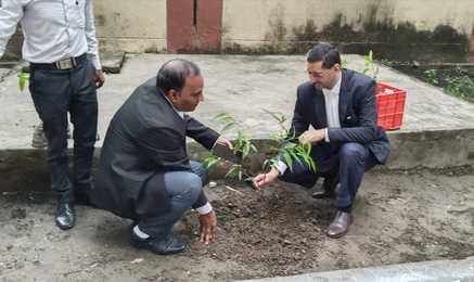 Out of 2.88 crore plants planted in three years