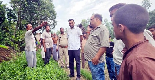 Tiger pulled calf from farmer's door in Kolhugarha