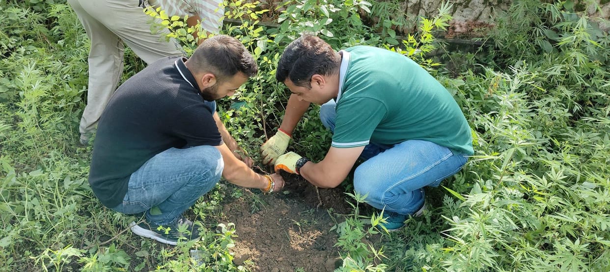 Poni, Tree Plantation, Crematorium, Ajay Sharma