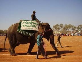 The oldest elephant Vatsala dies