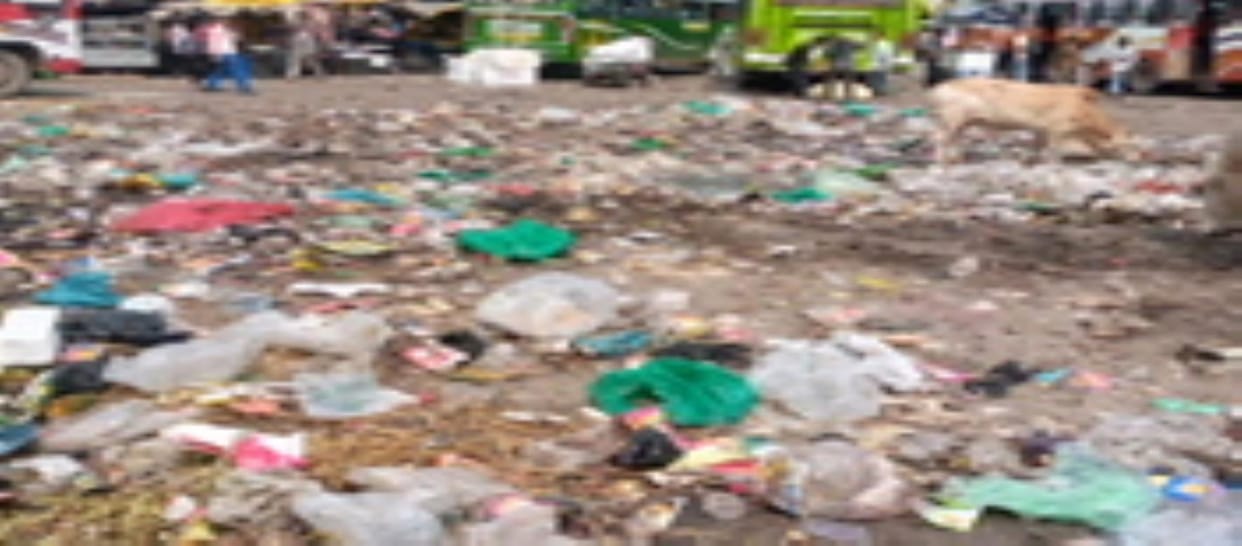 Ramnagar, Strike, Garbage, Shopkeepers Face Problems