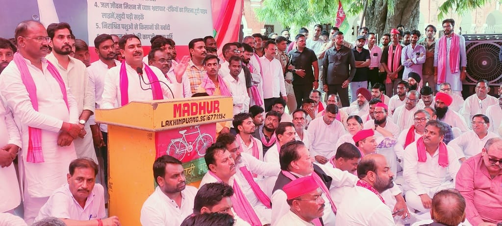 Claims of electricity supply in rural and urban areas proved false: Anand