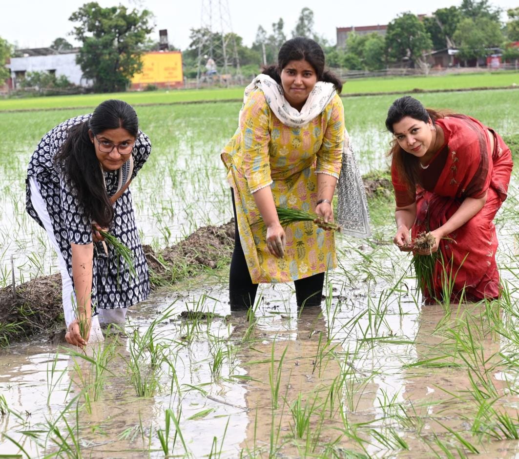 In Amethi, the member of the Women's Commission first heard the problems, then reached the village and planted paddy