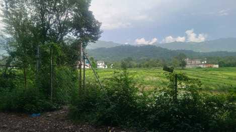The barren fields in Bhukkad started flourishing again