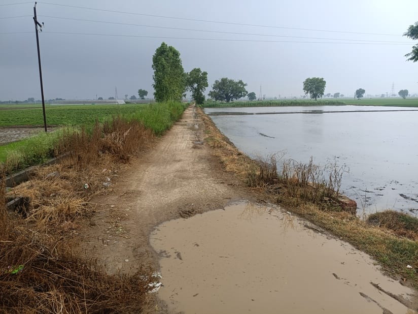 A paved road will be built from village Rajgarh Dobhi to Malaheri