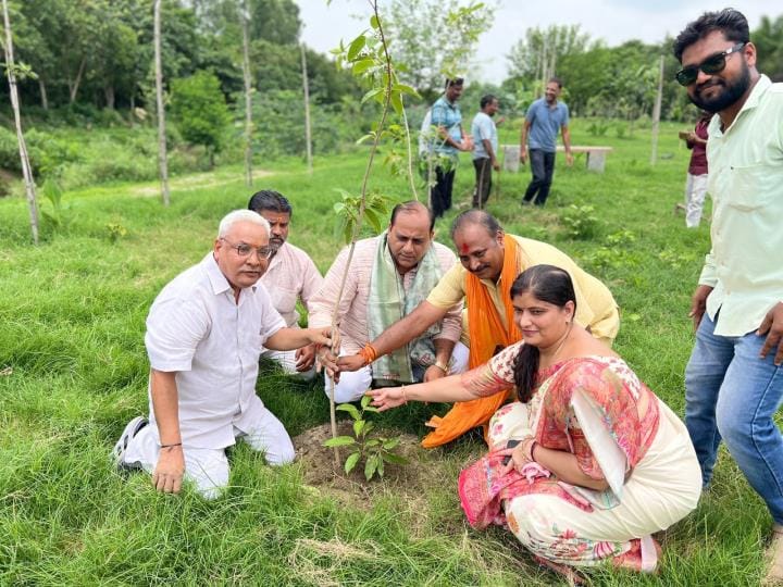 38.59 lakh saplings were planted in one day