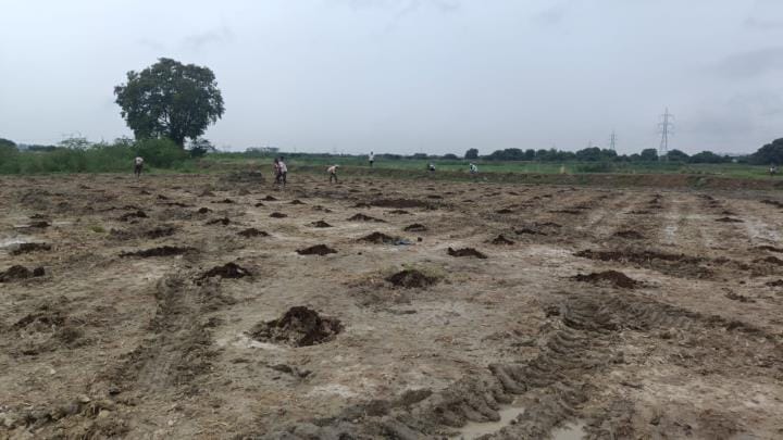 Shakti forest will be built in Pursaini, 80 percent of the plants will be planted by women