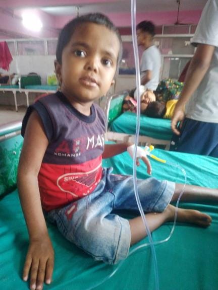 A lizard fell into the milk and unknowingly fed it to three children, all three became ill