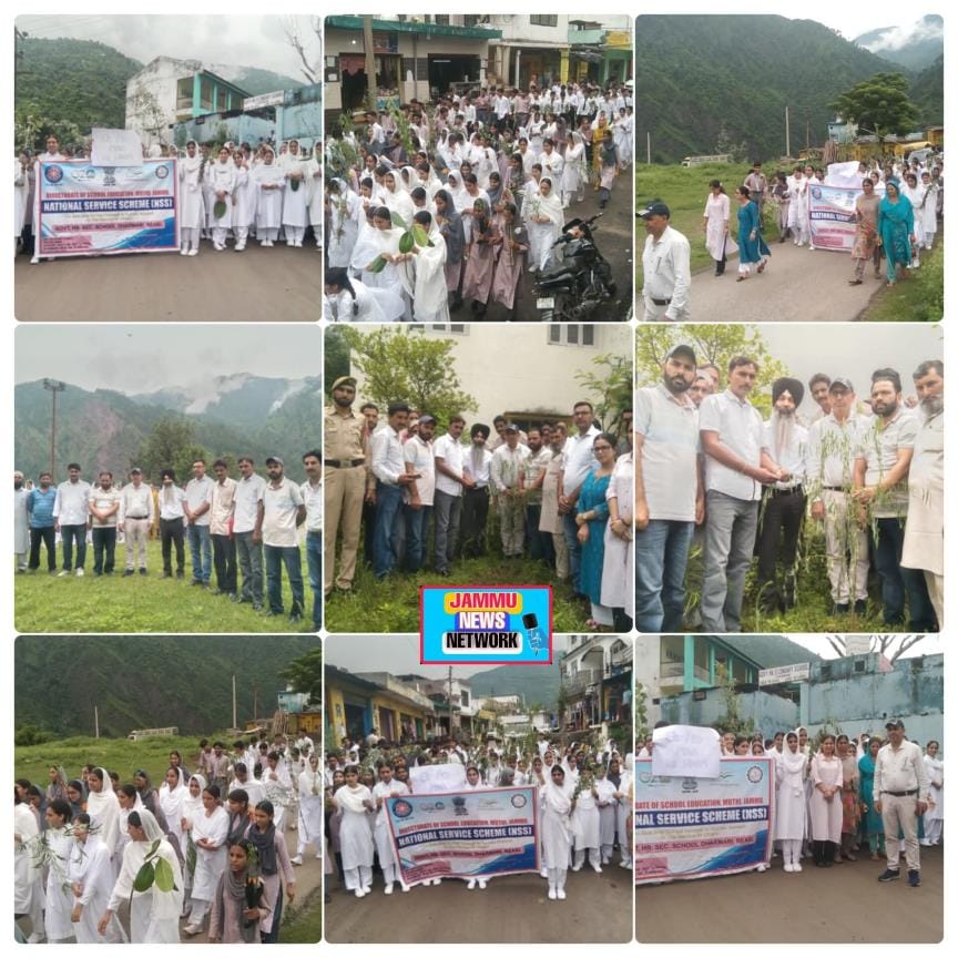 Tree Plantation in School