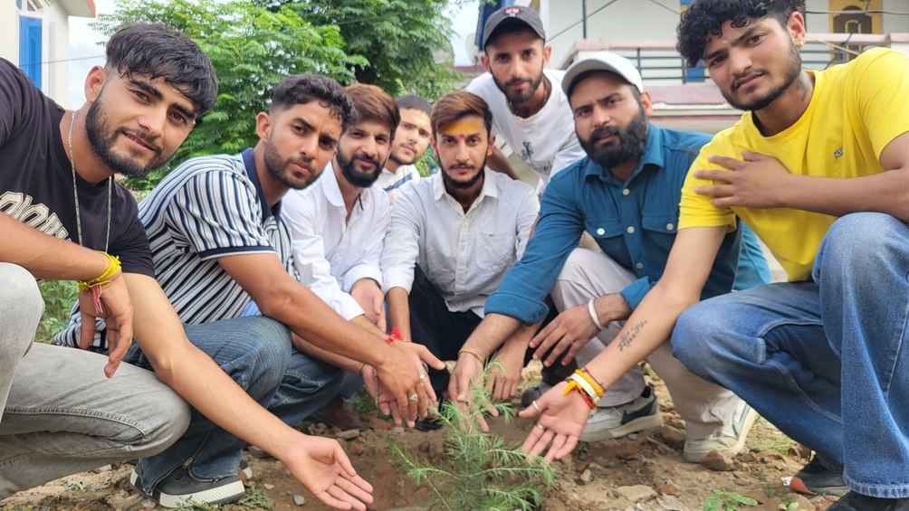 Tree Plantation in Doda