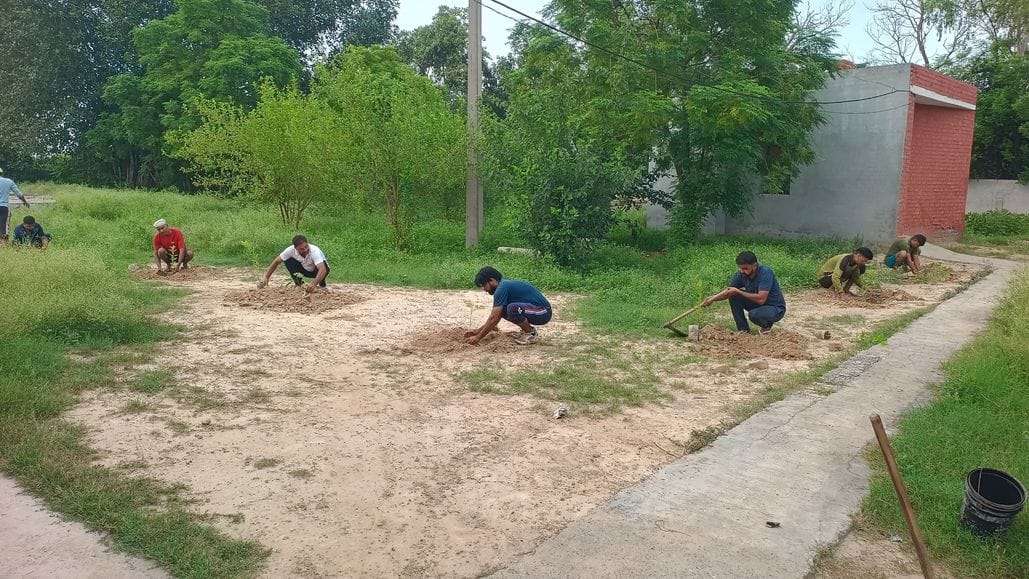 Rainy season becomes a boon, Arya Samaj Kalvan's environment conservation campaign is in full swing