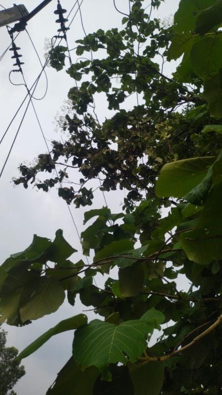 The city and 100 villages lost power for four hours