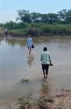 First they measure the water level, then they cross the river taking risks