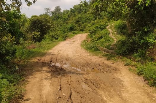 Peoples Happy for Road Construction