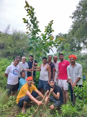 The youth planted trees in the village Pithadwas