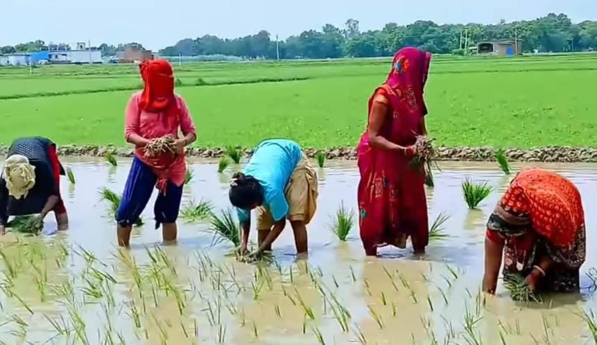 Rain brought relief but waterlogging increased the problem